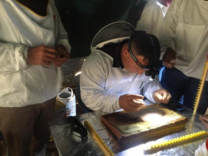 Muğla’da arıcılara apiterapik ürün eğitimleri başladı