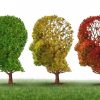 “Alzheimer Hastalığını Geri Döndürmek Mümkün Değil Ama Yavaşlatmak Elimizde”