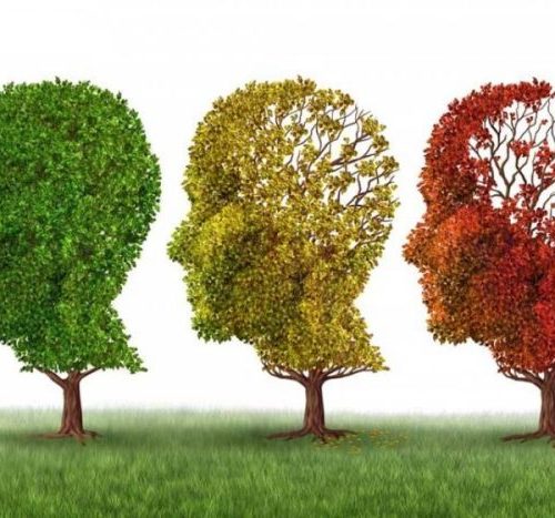 “Alzheimer Hastalığını Geri Döndürmek Mümkün Değil Ama Yavaşlatmak Elimizde”